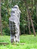 Área de Acampar y Recreación de Guavate - CAYEY